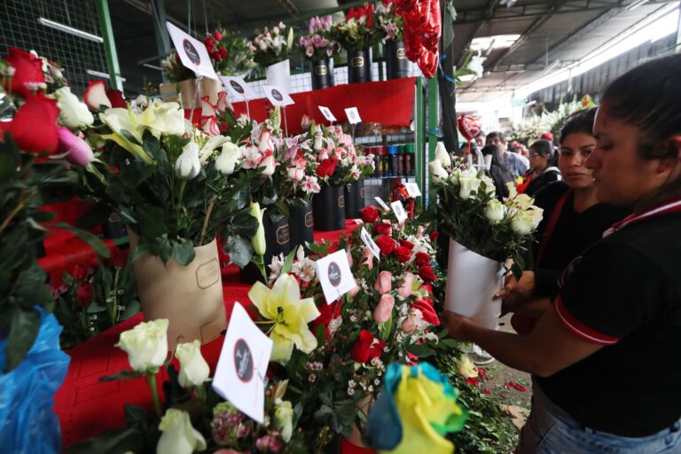 Dia de la madre